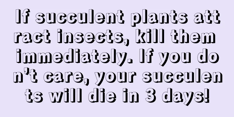 If succulent plants attract insects, kill them immediately. If you don’t care, your succulents will die in 3 days!