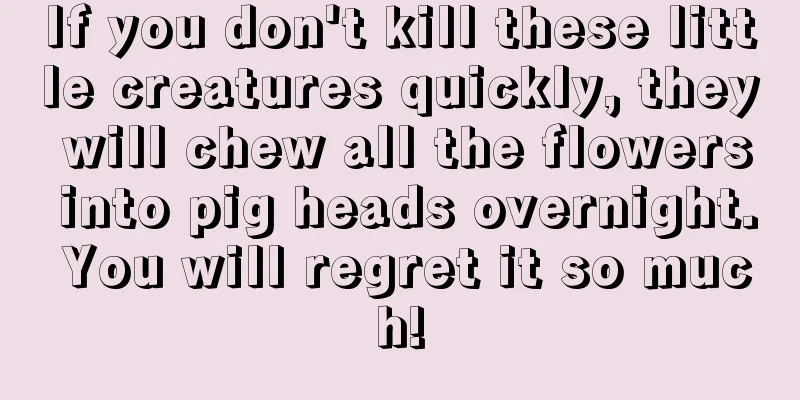 If you don't kill these little creatures quickly, they will chew all the flowers into pig heads overnight. You will regret it so much!