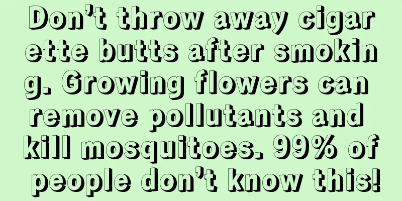 Don’t throw away cigarette butts after smoking. Growing flowers can remove pollutants and kill mosquitoes. 99% of people don’t know this!