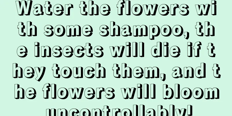 Water the flowers with some shampoo, the insects will die if they touch them, and the flowers will bloom uncontrollably!