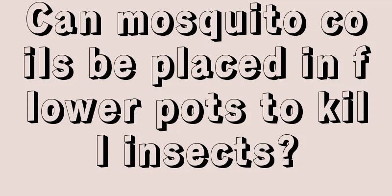 Can mosquito coils be placed in flower pots to kill insects?