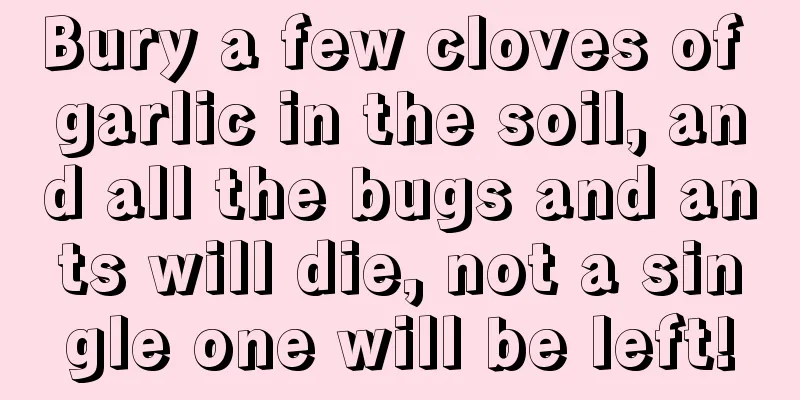 Bury a few cloves of garlic in the soil, and all the bugs and ants will die, not a single one will be left!