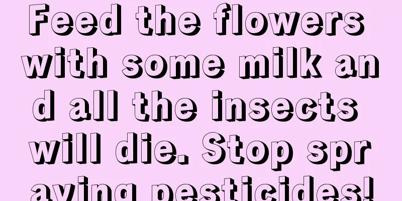 Feed the flowers with some milk and all the insects will die. Stop spraying pesticides!