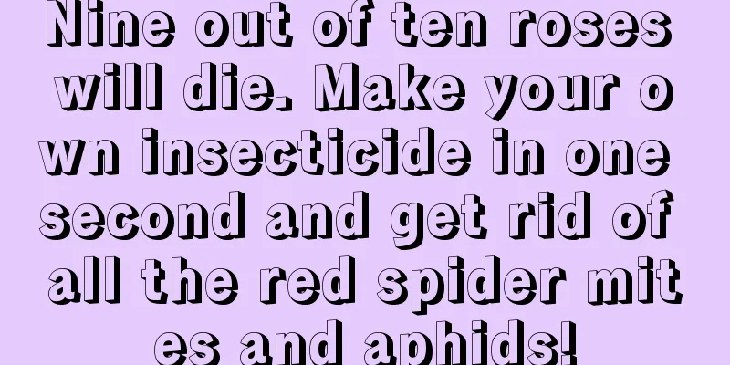 Nine out of ten roses will die. Make your own insecticide in one second and get rid of all the red spider mites and aphids!