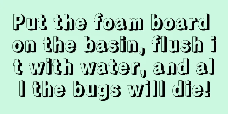 Put the foam board on the basin, flush it with water, and all the bugs will die!