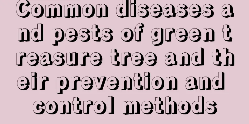 Common diseases and pests of green treasure tree and their prevention and control methods