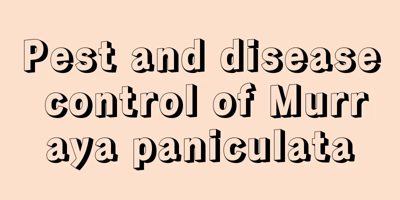 Pest and disease control of Murraya paniculata