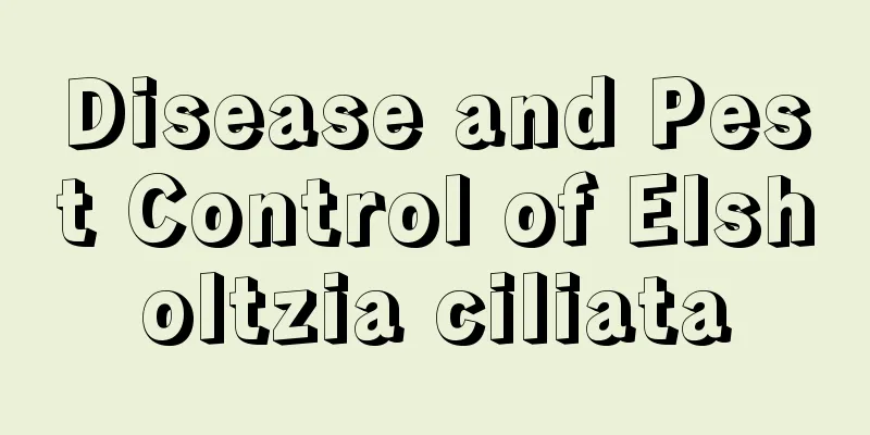 Disease and Pest Control of Elsholtzia ciliata