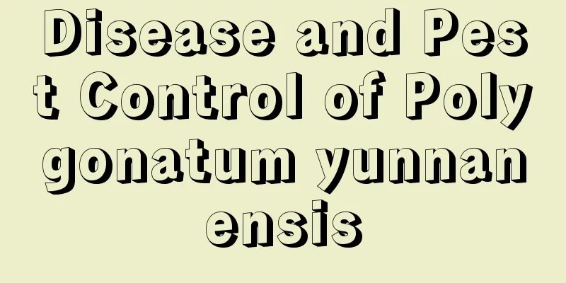 Disease and Pest Control of Polygonatum yunnanensis