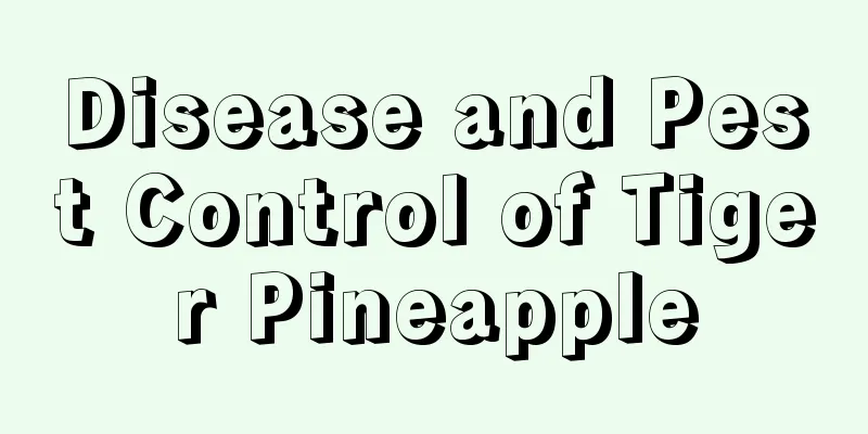 Disease and Pest Control of Tiger Pineapple