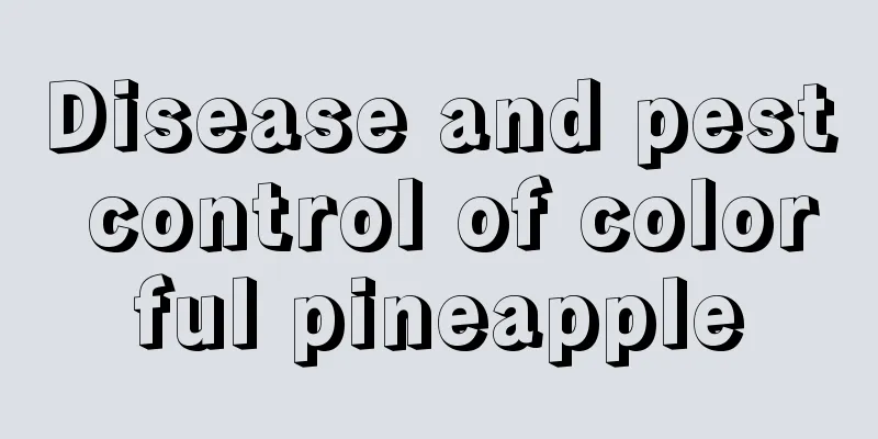 Disease and pest control of colorful pineapple