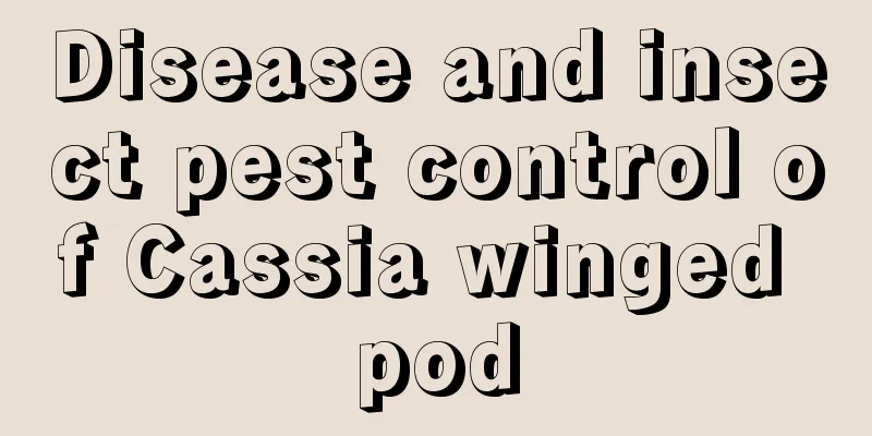 Disease and insect pest control of Cassia winged pod