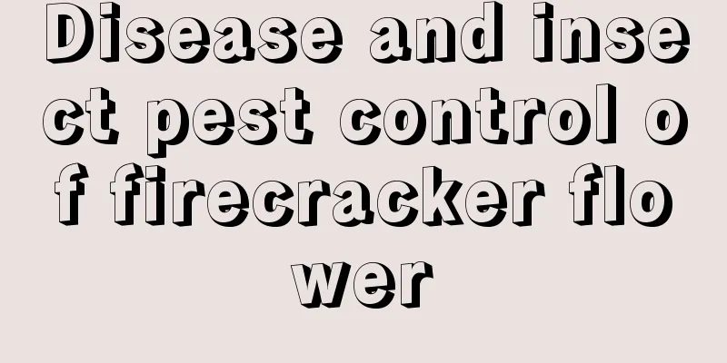 Disease and insect pest control of firecracker flower