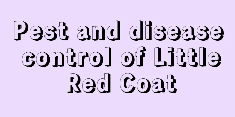 Pest and disease control of Little Red Coat