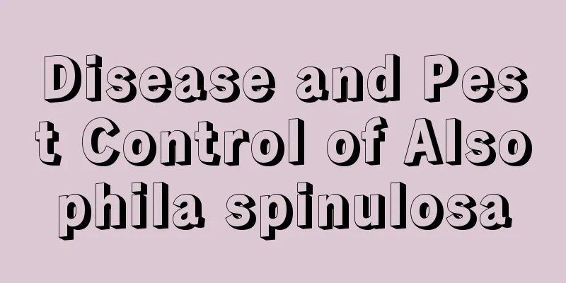 Disease and Pest Control of Alsophila spinulosa