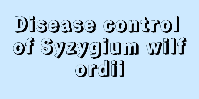 Disease control of Syzygium wilfordii