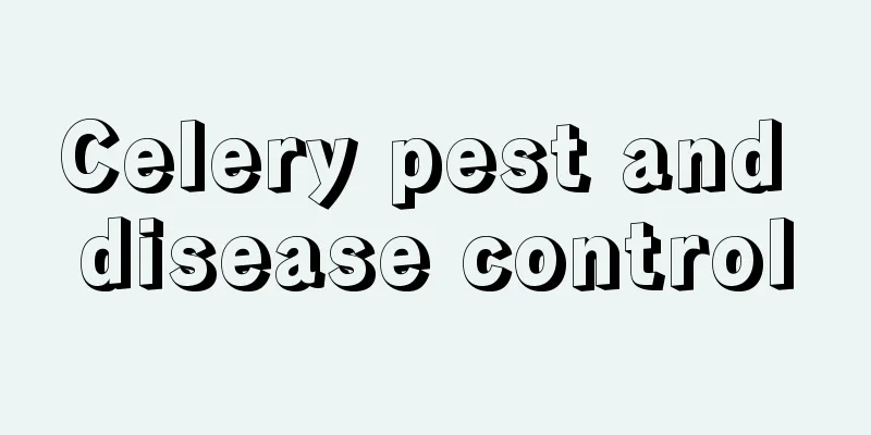 Celery pest and disease control