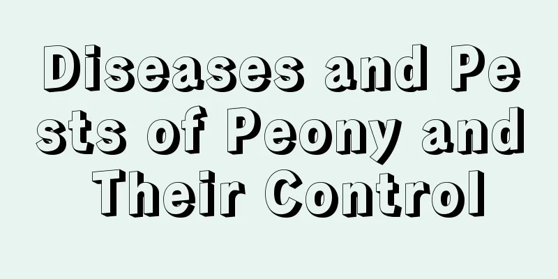 Diseases and Pests of Peony and Their Control