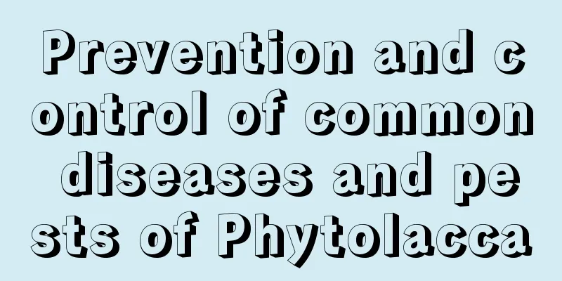 Prevention and control of common diseases and pests of Phytolacca