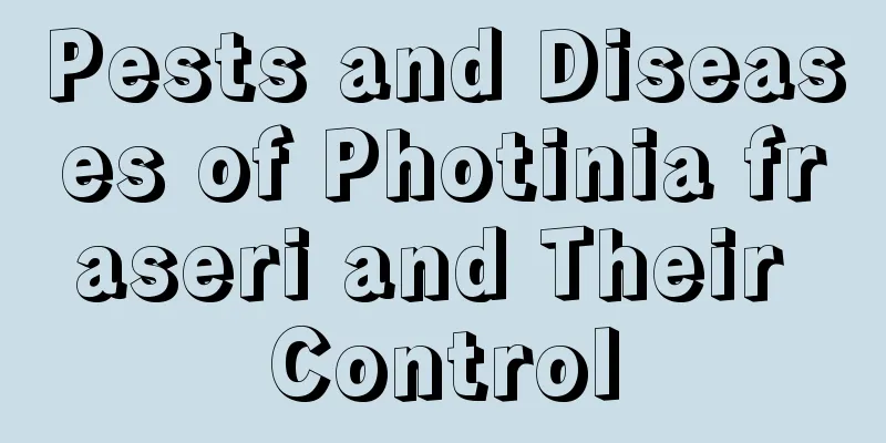 Pests and Diseases of Photinia fraseri and Their Control