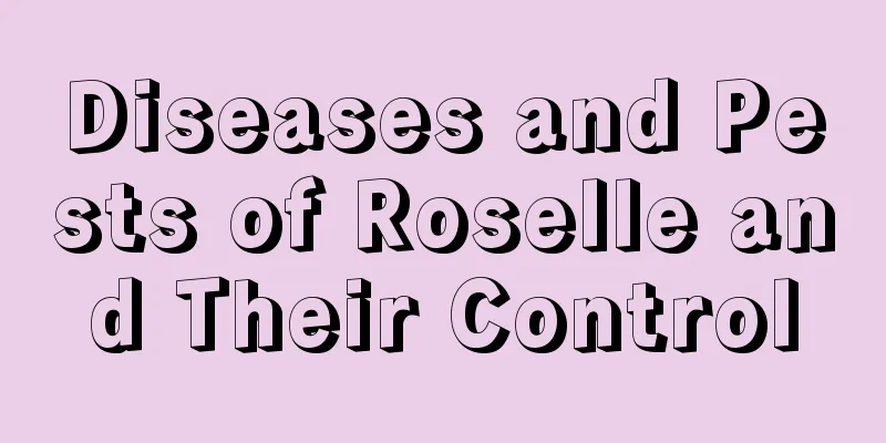 Diseases and Pests of Roselle and Their Control