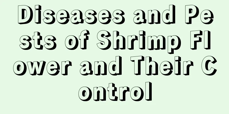 Diseases and Pests of Shrimp Flower and Their Control