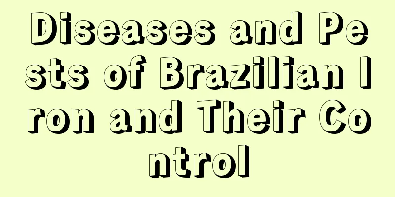 Diseases and Pests of Brazilian Iron and Their Control