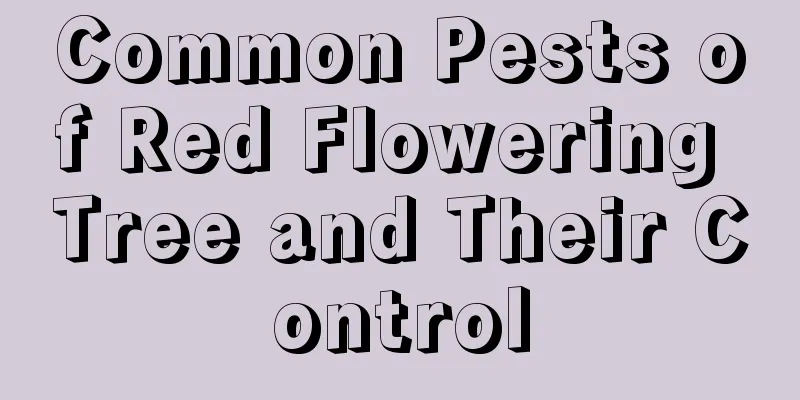 Common Pests of Red Flowering Tree and Their Control