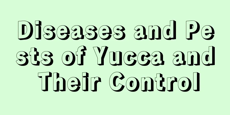 Diseases and Pests of Yucca and Their Control