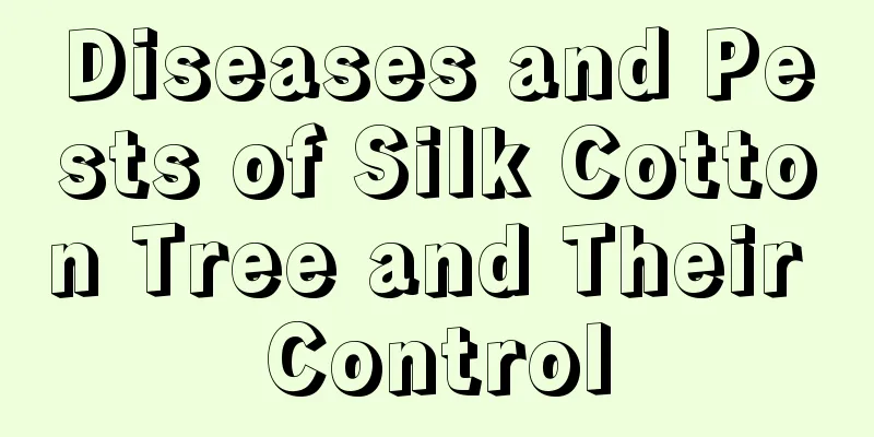 Diseases and Pests of Silk Cotton Tree and Their Control