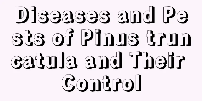 Diseases and Pests of Pinus truncatula and Their Control