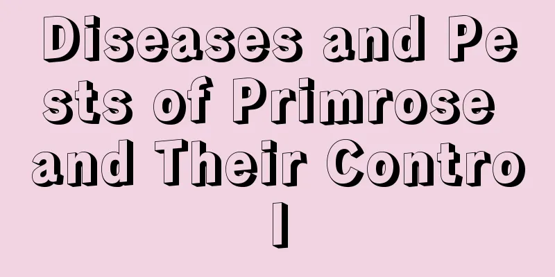 Diseases and Pests of Primrose and Their Control