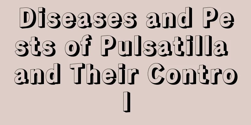 Diseases and Pests of Pulsatilla and Their Control