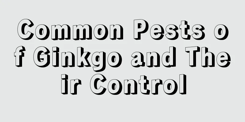 Common Pests of Ginkgo and Their Control