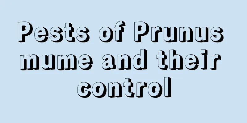 Pests of Prunus mume and their control