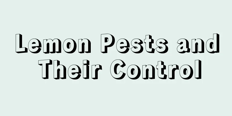 Lemon Pests and Their Control