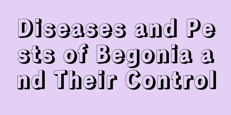 Diseases and Pests of Begonia and Their Control