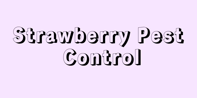 Strawberry Pest Control