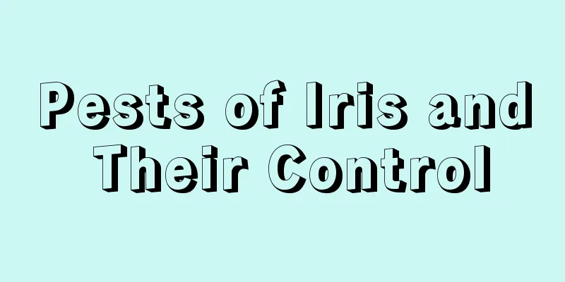 Pests of Iris and Their Control