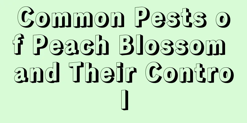 Common Pests of Peach Blossom and Their Control