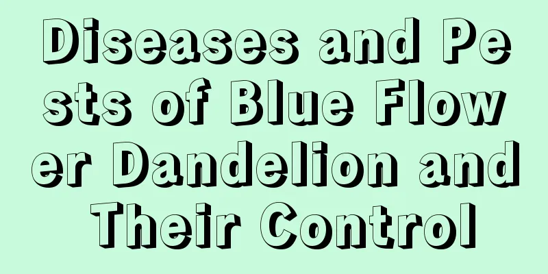 Diseases and Pests of Blue Flower Dandelion and Their Control