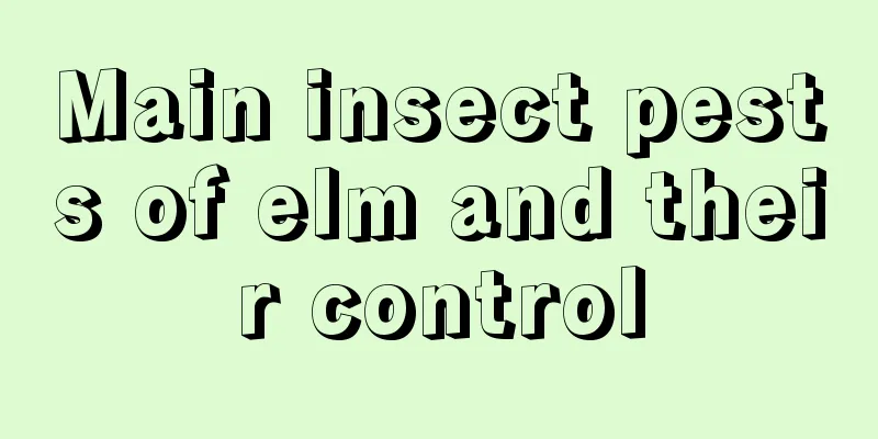 Main insect pests of elm and their control