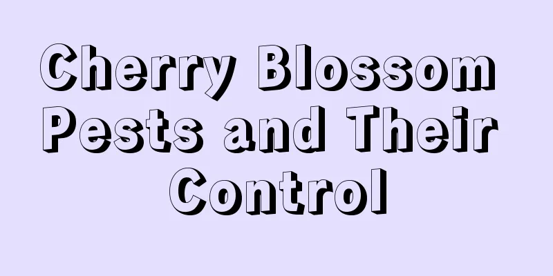 Cherry Blossom Pests and Their Control