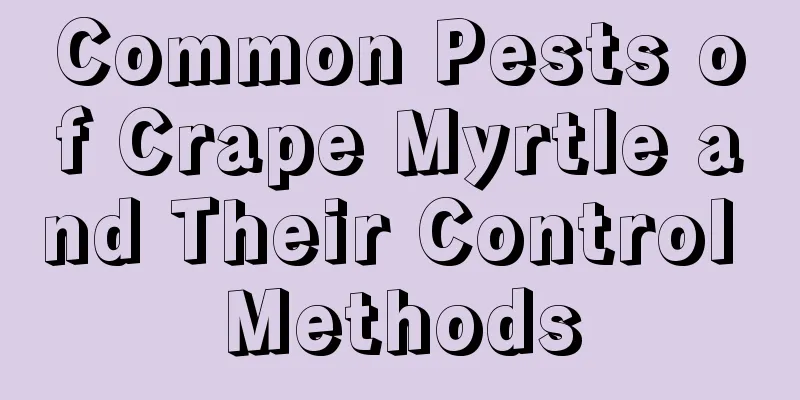 Common Pests of Crape Myrtle and Their Control Methods