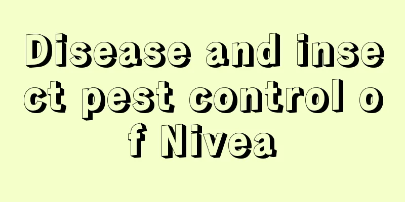 Disease and insect pest control of Nivea