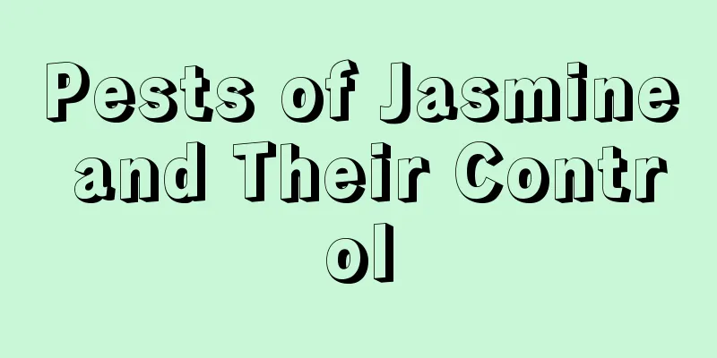 Pests of Jasmine and Their Control