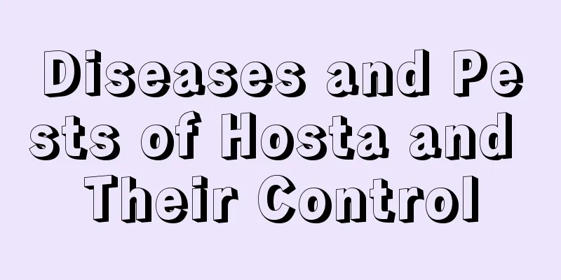 Diseases and Pests of Hosta and Their Control