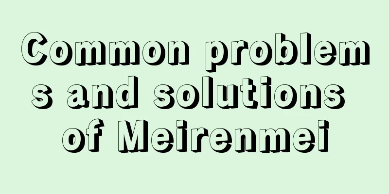 Common problems and solutions of Meirenmei