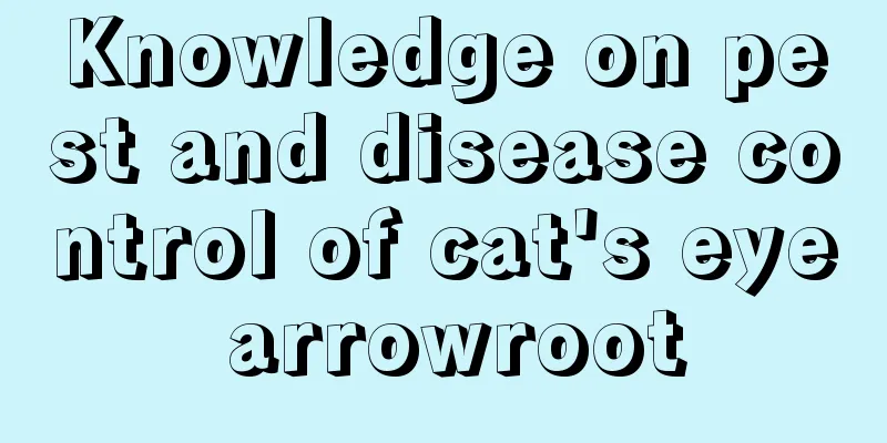 Knowledge on pest and disease control of cat's eye arrowroot