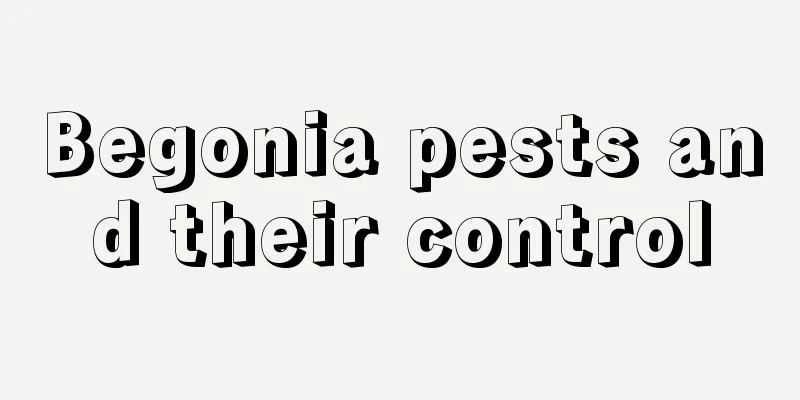 Begonia pests and their control